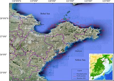 Shoreline change due to global climate change and human activity at the Shandong Peninsula from 2007 to 2020